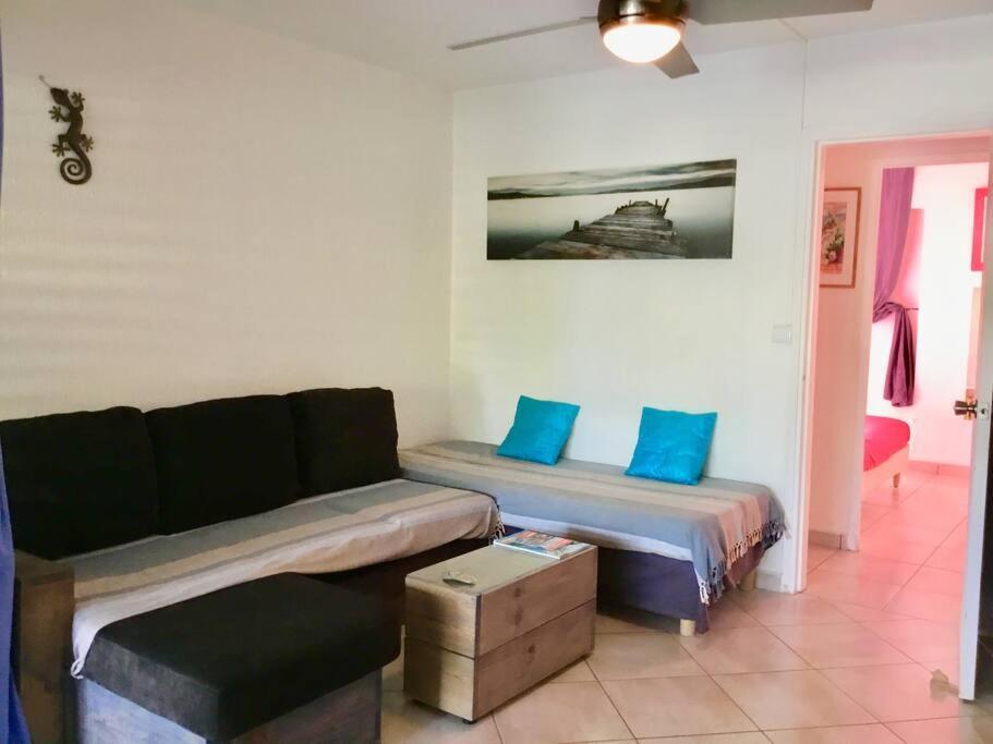 T3, Piscine, Plages Et Commerces A Pieds Sur La Marina *